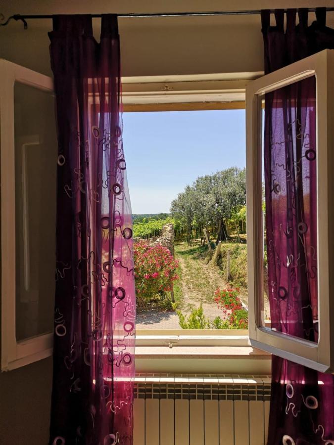 B&B Stella Dell'Adriatico Ortona Bagian luar foto