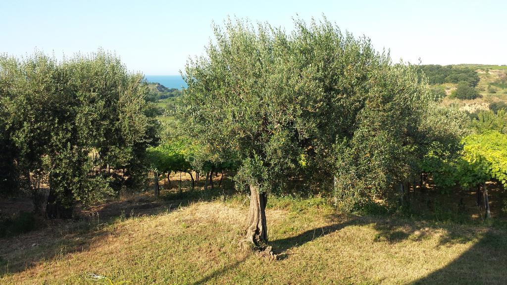 B&B Stella Dell'Adriatico Ortona Bagian luar foto