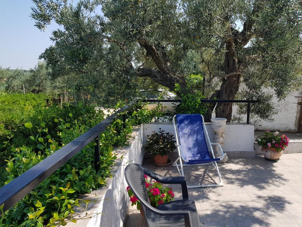 B&B Stella Dell'Adriatico Ortona Bagian luar foto